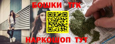 индика Абакан
