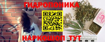 индика Абакан