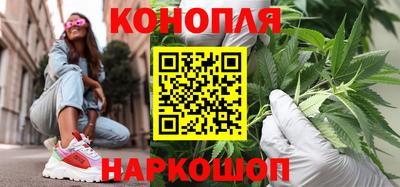 индика Абакан