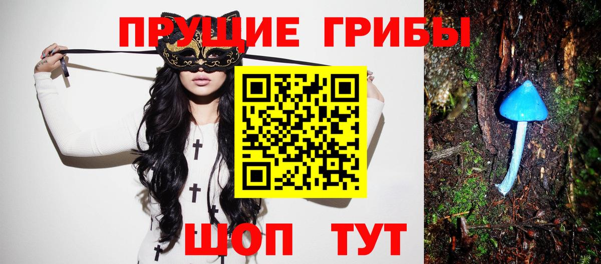 Александров  Псилоцибиновые грибы прущие грибы  Вход с VPN 