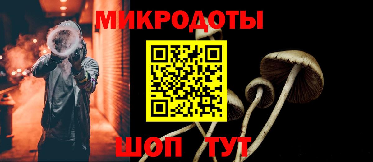 Псилоцибиновые грибы мицелий Александров